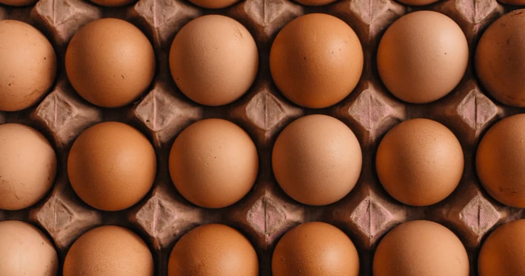 ไข่ไก่ล้นตลาด พาณิชย์ดันส่งออกฟองละ 25 สตางค์