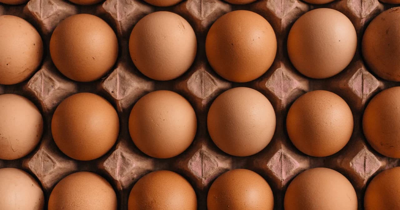 ไข่ไก่ล้นตลาด พาณิชย์ดันส่งออกฟองละ 25 สตางค์