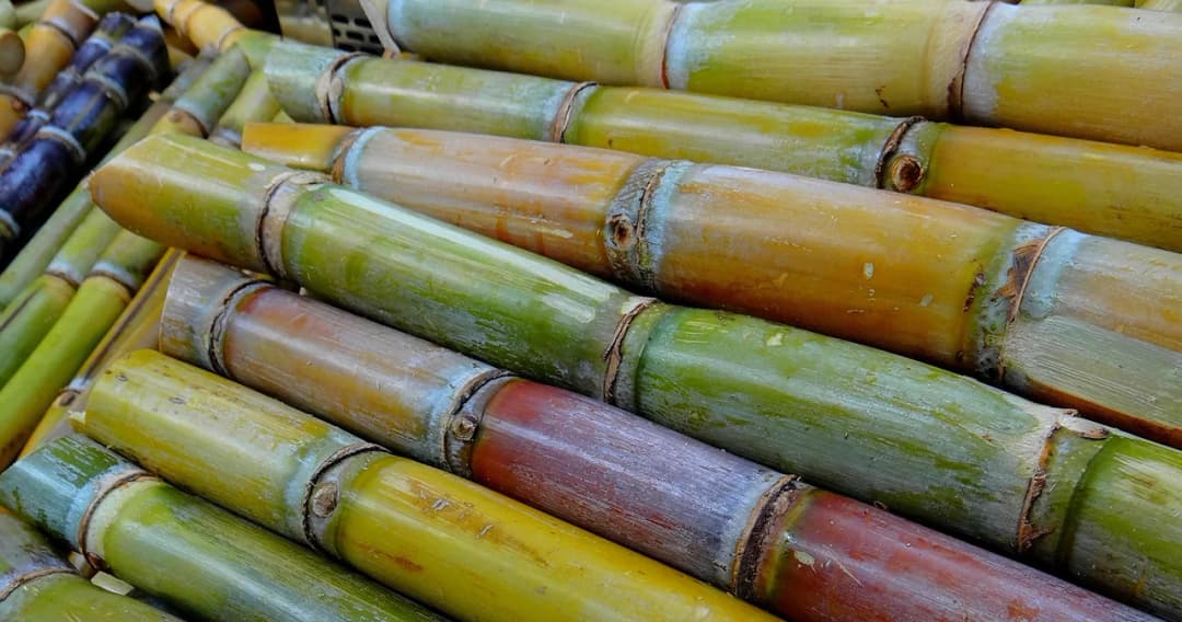 TSMC ชี้สถานการณ์โควิด-19 ฉุดการบริโภคน้ำตาลชะลอตัว