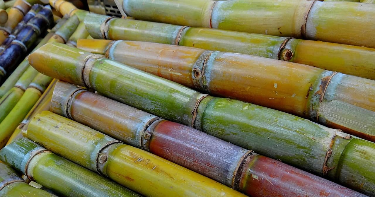 TSMC ชี้สถานการณ์โควิด-19 ฉุดการบริโภคน้ำตาลชะลอตัว