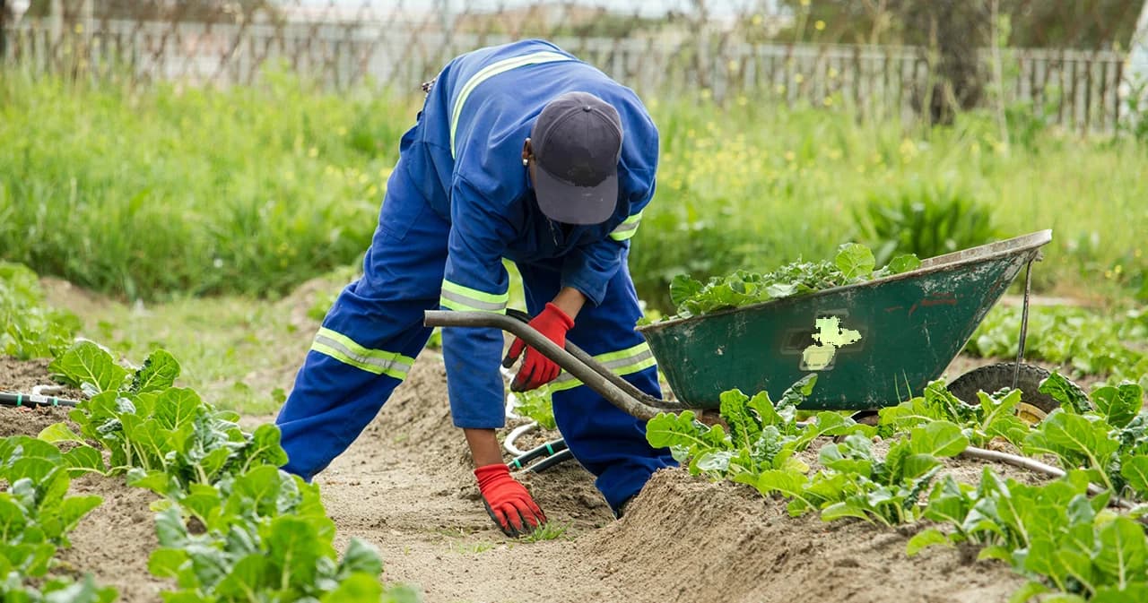 แรงงานไทยพร้อมไปเกาหลีทำงานภาคเกษตรระยะสั้น