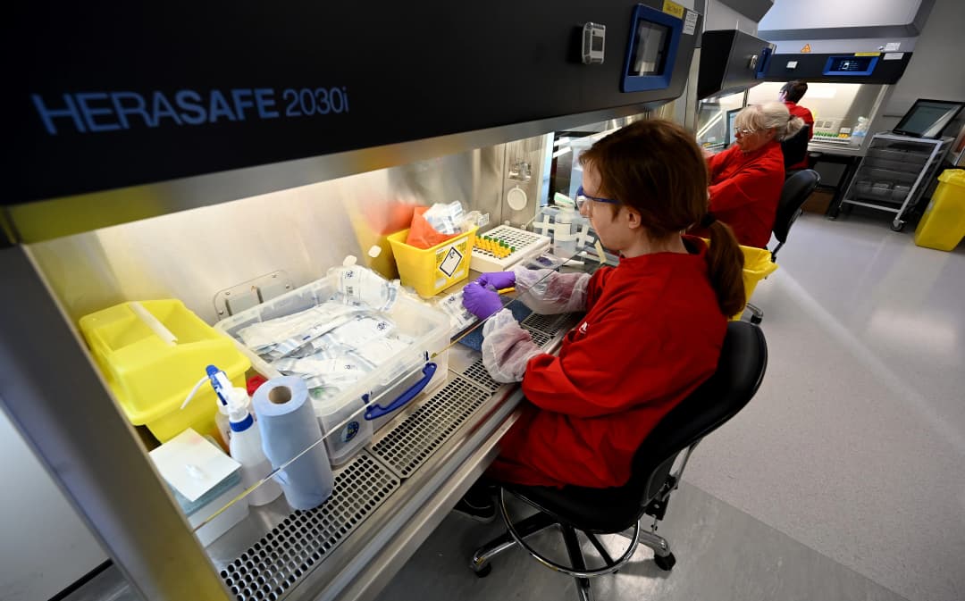 โควิด ตรวจเชื้อ อังกฤษ