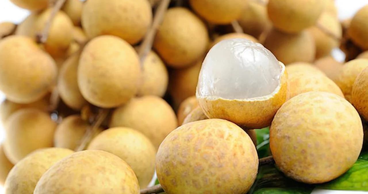 DITP เตรียมจับคู่ธุรกิจออนไลน์ลำไย เผยเคยทำยอดขาย 814 ล้าน