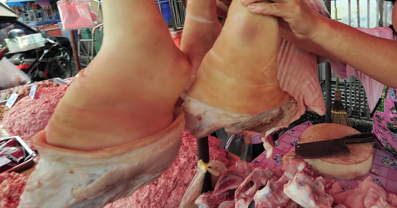 ส.ส.พปชร.แนะชาวบ้านกินไก่แทนหมู ดัดหลังพ่อค้าฉวยโอกาสขึ้นราคา