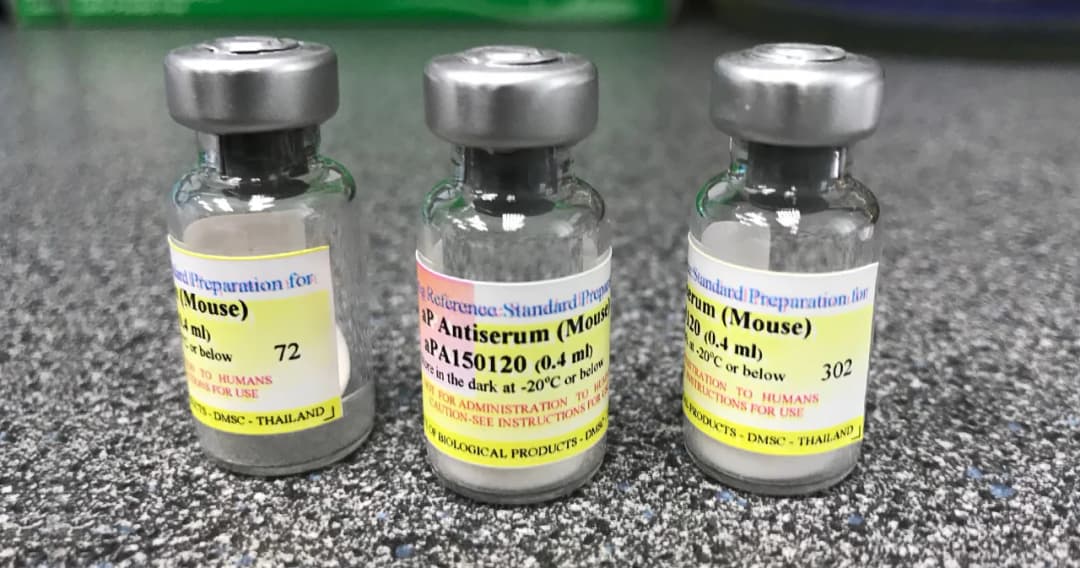 ไทยประสบความสำเร็จ ผลิตวัคซีนมาตรฐานตรวจสอบคุณภาพวัคซีนไอกรนไร้เซลล์ได้เอง