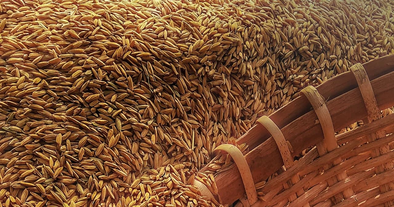 ไทยส่งออกข้าวอันดับ 3 ของโลก ยอดครึ่งปีแรกติดลบ 32% คาดส่งออกข้าวทั้งปี 6.5 ล้านตัน