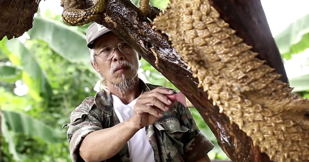 ‘ลุงพิกุล’ สร้างรูปปั้นมังกรจากลังกระดาษฟอกไตฟื้นชีวิตจากวิกฤติเศรษฐกิจ