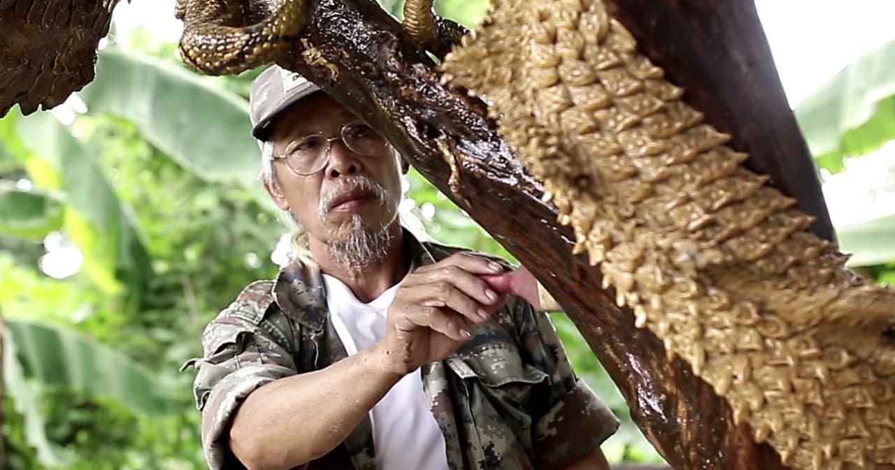 ‘ลุงพิกุล’ สร้างรูปปั้นมังกรจากลังกระดาษฟอกไตฟื้นชีวิตจากวิกฤติเศรษฐกิจ