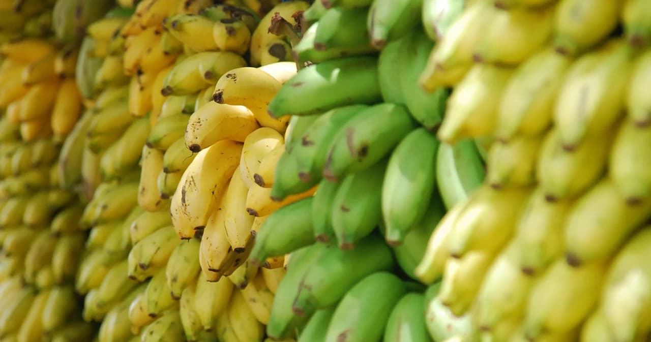 เปิดแผนฟื้นฟูเครือข่ายธุรกิจรายเล็กได้รับผลกระทบโควิดกว่า 60%