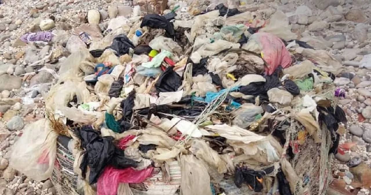 ขยะ 90 ตันจากเรือเฟอร์รี่ล่มเริ่มขึ้นฝั่ง ดร.ธรณ์ ห่วง ส่งผลปะการัง-สัตว์ทะเลกินเข้าไป