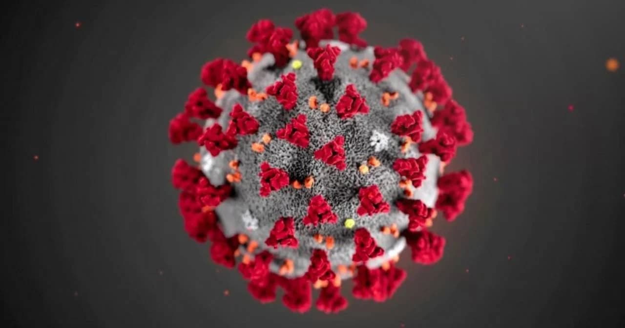 ไทยไม่พบผู้ติดเชื้อโควิด-19 รายใหม่ รักษาหายเพิ่ม 10 คน ขณะยอดผู้ติดเชื้อสะสมทั่วโลกทะลุ 25 ล้านราย