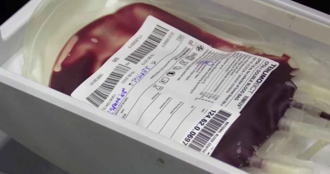 ร้องสภากาชาดไทย ทบทวนไม่รับบริจาคเลือดกลุ่มความหลากหลายทางเพศ