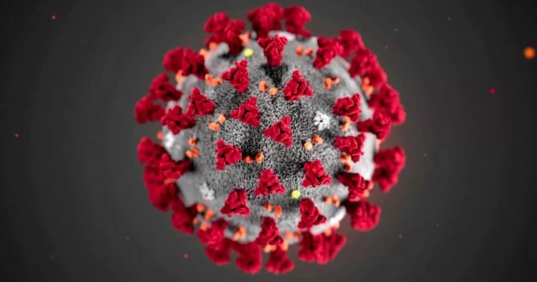 หมอธีระวัฒน์ เผยบริษัทสตาร์ทอัพไทยสำเร็จ คิดค้นวัคซีนโควิด-19 ทำจากใบยาได้แล้ว