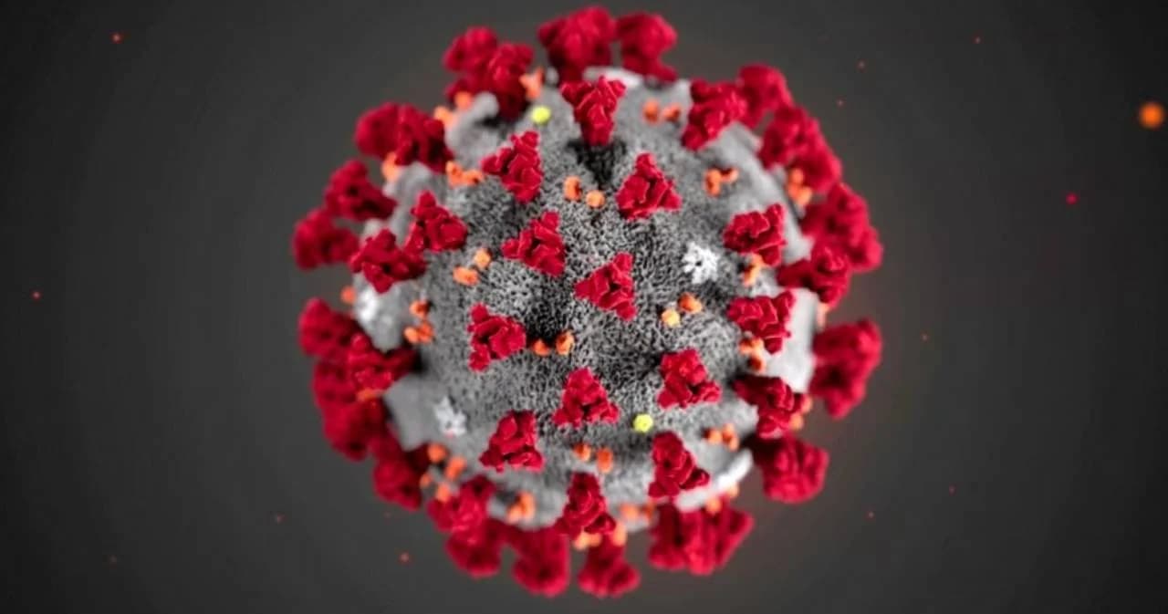 หมอธีระวัฒน์ เผยบริษัทสตาร์ทอัพไทยสำเร็จ คิดค้นวัคซีนโควิด-19 ทำจากใบยาได้แล้ว