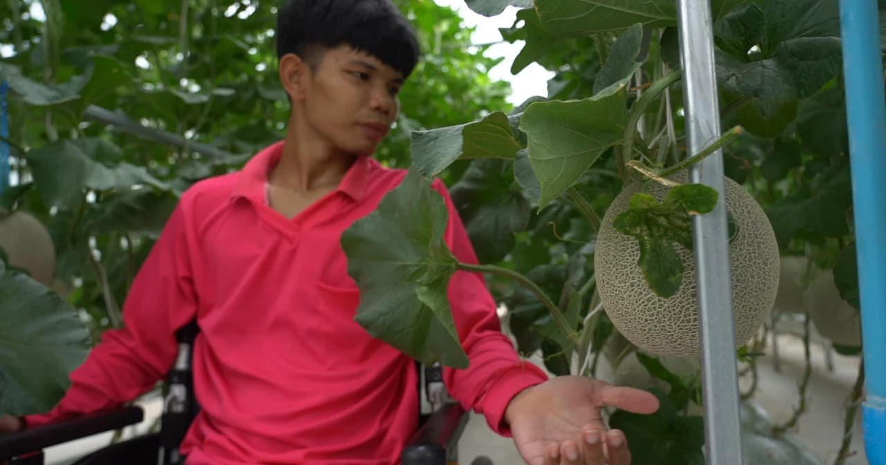 หนุ่มนักสู้บนวีลแชร์ พลิกชีวิตผันตัวเป็นเกษตรกรปลูกเมลอน อุ่นไอรักฟาร์ม