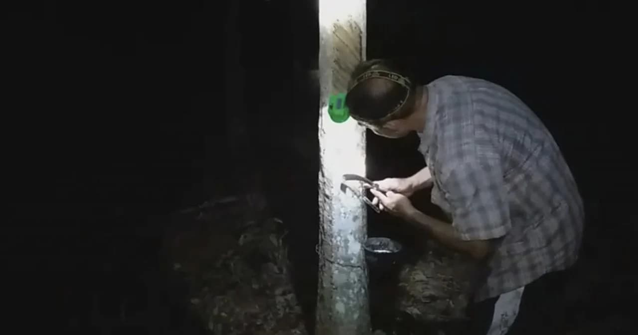 รัฐบาลประกาศราคายางทะลุ 60 บาท ครั้งแรกรอบ 3 ปี หวังดันต่อถึง 65 บาท