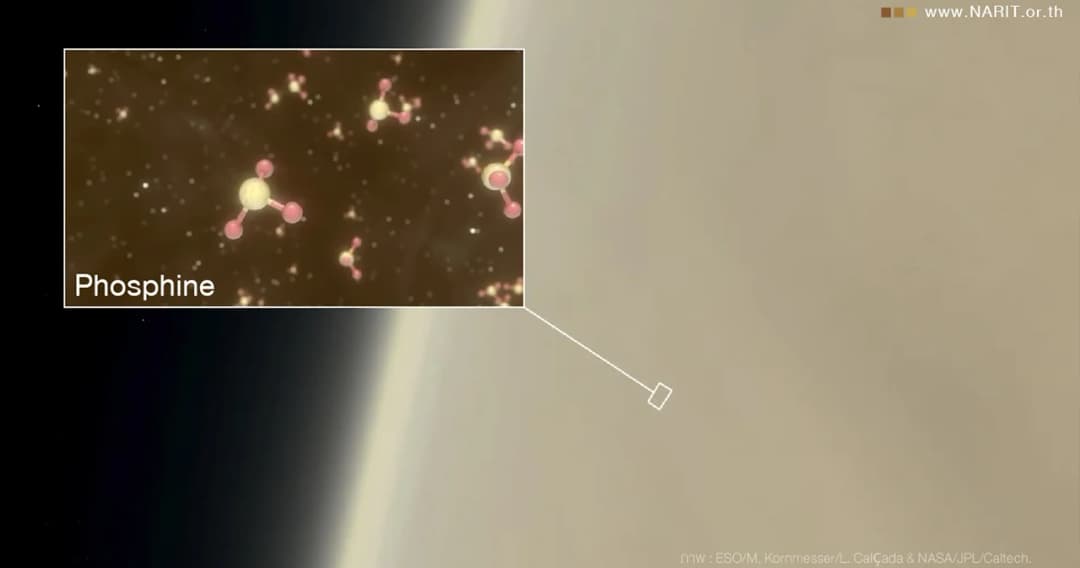 พบหลักฐานอาจมีสิ่งมีชีวิตบนดาวศุกร์ แต่เป็นรูปแบบที่ไม่มีในโลก