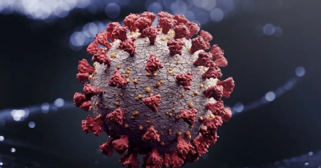 ไทยพบผู้ติดเชื้อโควิด-19 เพิ่ม หลังกลับมาจากต่างประเทศ 6 ราย