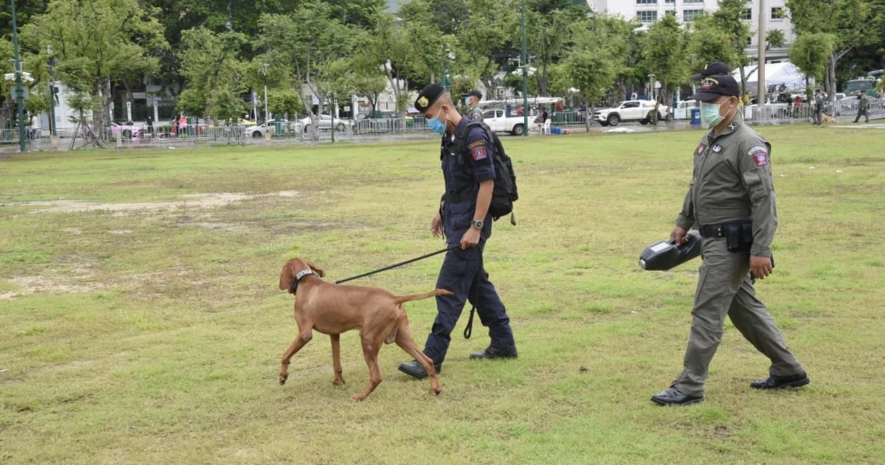 กทม.เข้าฟื้นฟูสนามหลวง ส่งหน่วย EOD ตรวจหาระเบิด ยังไม่รื้อหมุด