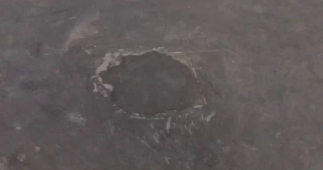 คืบหน้า ‘หมุดคณะราษฎร’ หายไปจากสนามหลวง กรมศิลป์ฯ-กทม. ร่วมแจ้งความรื้อถอน