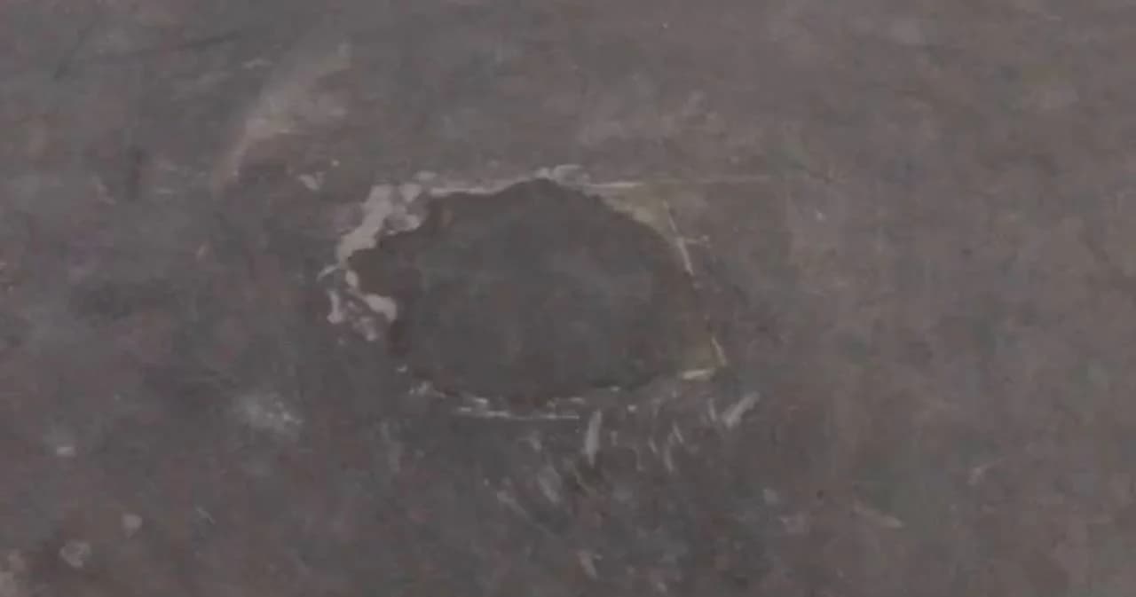 คืบหน้า ‘หมุดคณะราษฎร’ หายไปจากสนามหลวง กรมศิลป์ฯ-กทม. ร่วมแจ้งความรื้อถอน