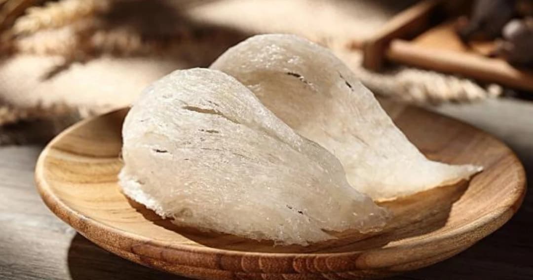 ความลับ ทำไมรังนกถึงเป็นสัญลักษณ์ของอาหารเพื่อสุขภาพ