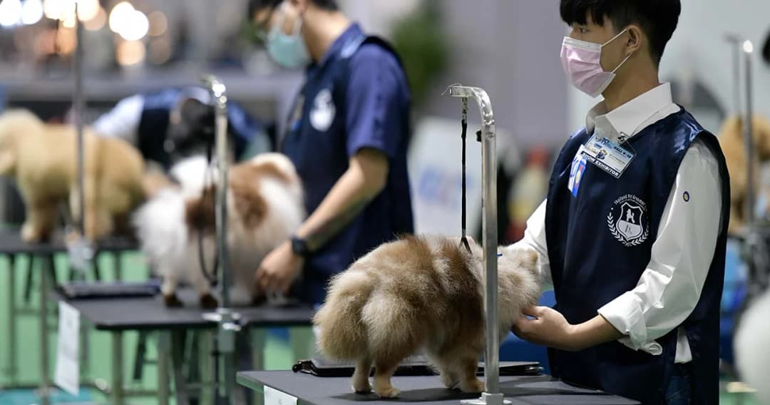 เริ่มแล้วมหกรรมเพื่อคนรักสุนัขอันดับ 1 ของเมืองไทย คาดธุรกิจสัตว์เลี้ยงเติบโตกว่า 34,000 ล้านบาท