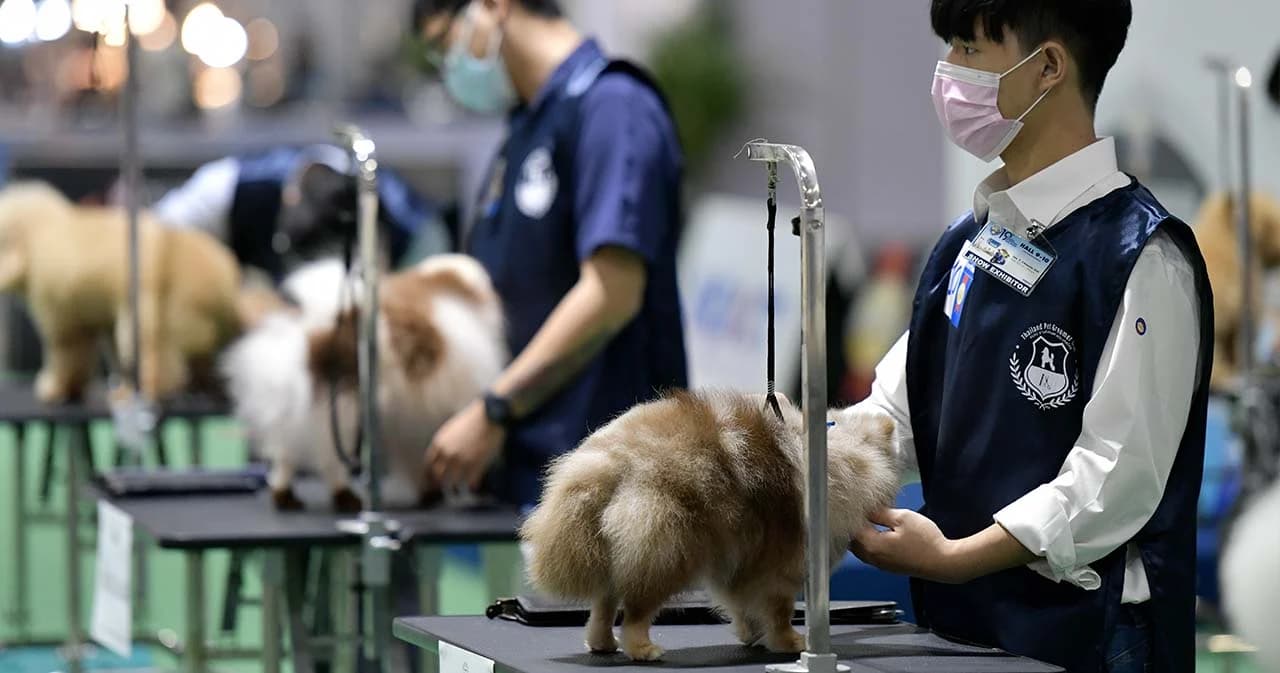 เริ่มแล้วมหกรรมเพื่อคนรักสุนัขอันดับ 1 ของเมืองไทย คาดธุรกิจสัตว์เลี้ยงเติบโตกว่า 34,000 ล้านบาท