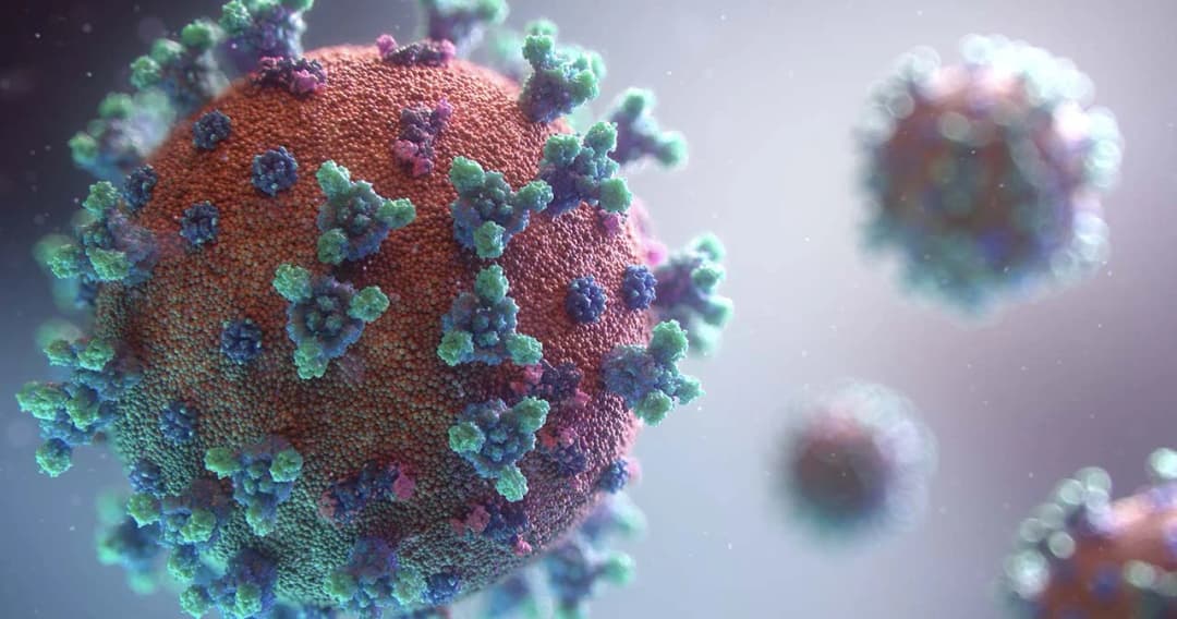 ยอดติดโควิด-19 ไทยเพิ่ม 4 รายรักษาตัวในโรงพยาบาล 104 ราย