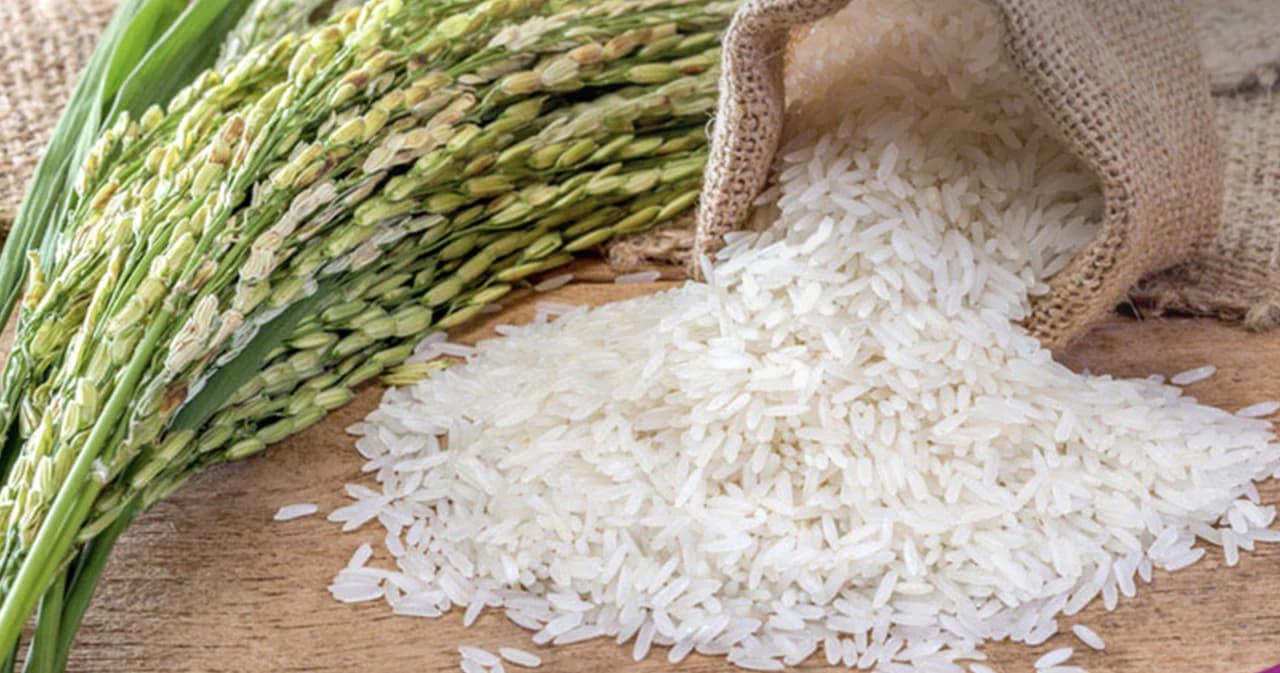 ข้าวหอมมะลิไทยทวงแชมป์ข้าวที่ดีที่สุดในโลก ปี 2020