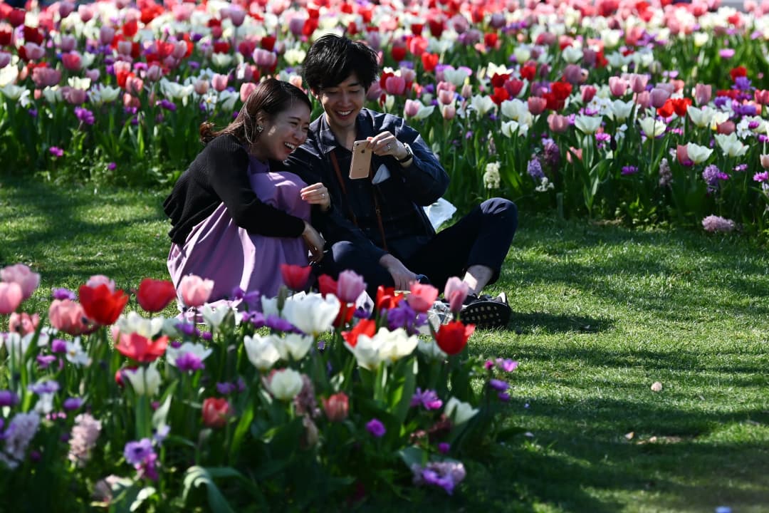 คู่รัก ญี่ปุ่น AFP1263