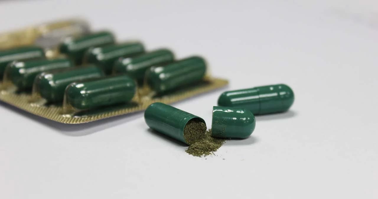 สธ.เล็งต่อยอดวิจัยฟ้าทะลายโจร หลังรักษาผู้ป่วยโควิด-19 อาการไม่รุนแรง อาการดีขึ้นทุกราย