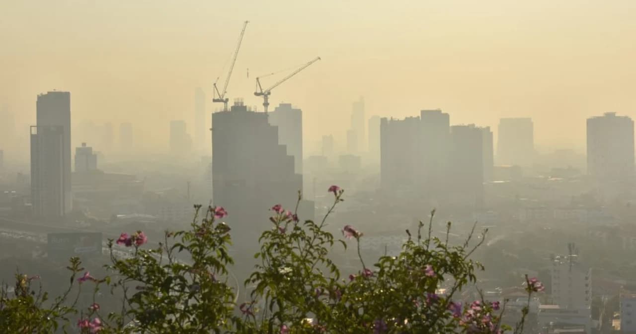 เศรษฐศาสตร์ จุฬาฯ แนะรัฐเก็บข้อมูล PM 2.5 จริงจัง เพื่อการออกแบบนโยบายแก้ปัญหาตรงจุด