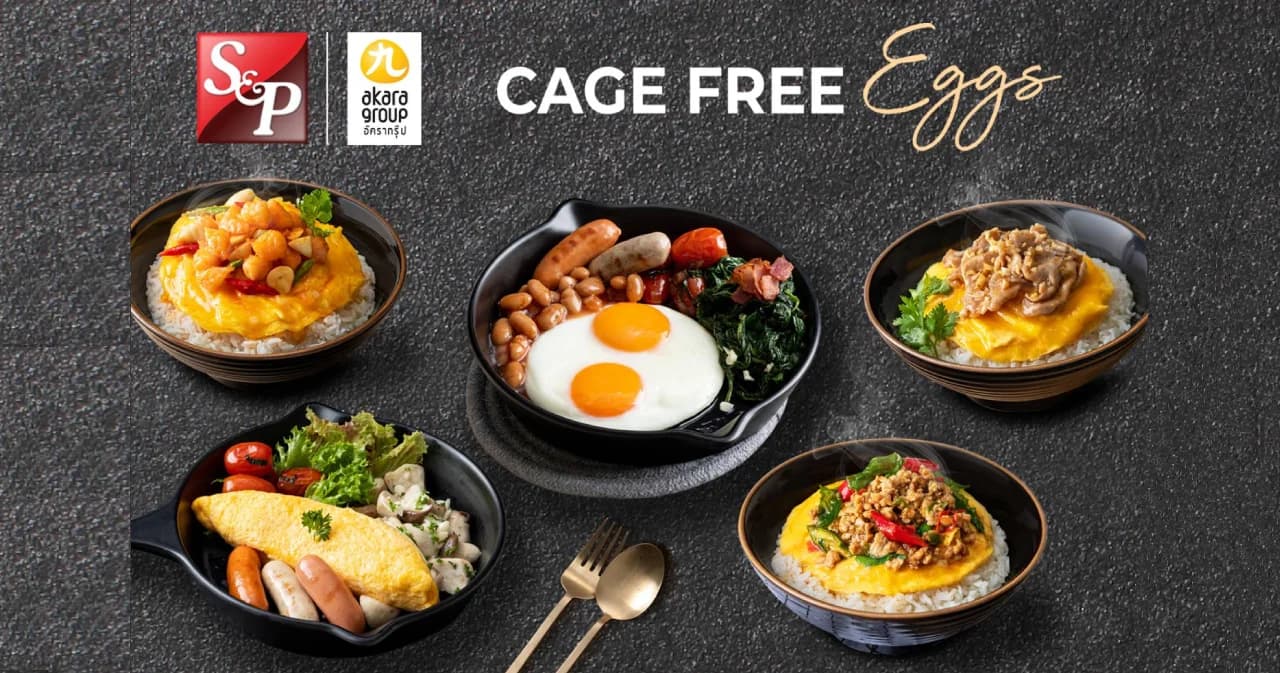 ‘เอส แอนด์ พี’ ตระหนักถึงสวัสดิภาพสัตว์ คัดสรรไข่ไก่สด สะอาด ปลอดภัย จากแม่ไก่อารมณ์ดี