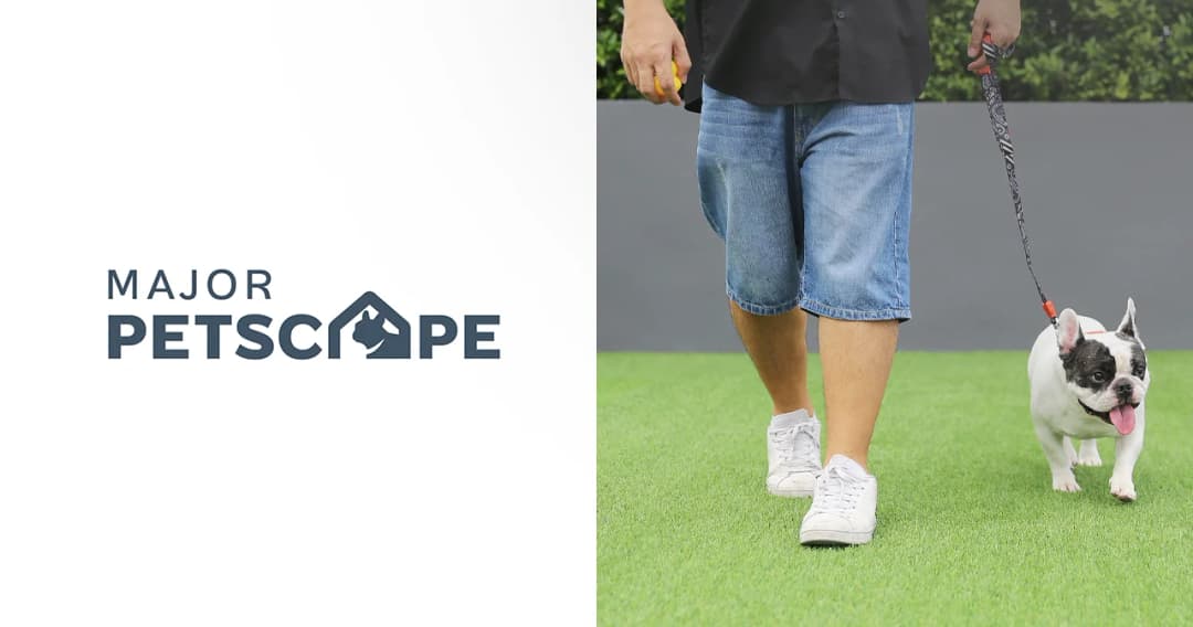 5 กิจกรรมวันสบายๆ ใช้เวลากับน้องหมาและน้องแมว ในคอนโด Pet-friendly Residences จากเมเจอร์ ดีเวลลอปเม้นท์