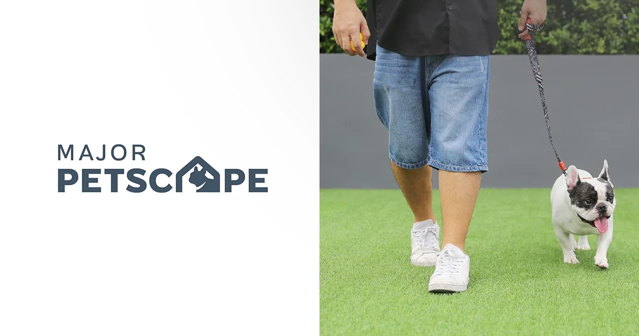 5 กิจกรรมวันสบายๆ ใช้เวลากับน้องหมาและน้องแมว ในคอนโด Pet-friendly Residences จากเมเจอร์ ดีเวลลอปเม้นท์