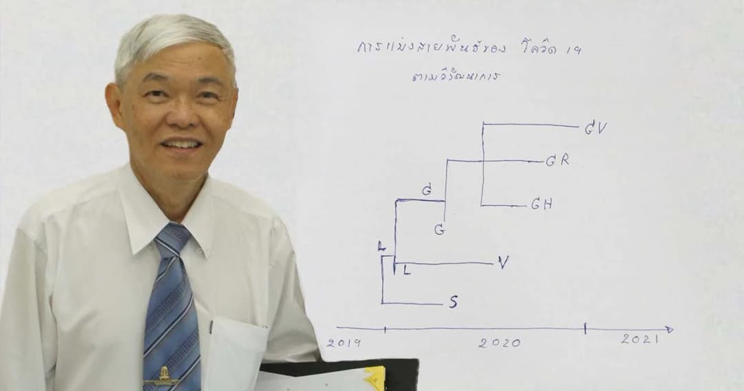 แพทย์จุฬาฯ วิเคราะห์การกลายพันธุ์เชื้อโควิดพบเป็นไปตามวิวัฒนาการ ไม่เกี่ยวข้องกับความรุนแรงของโรค