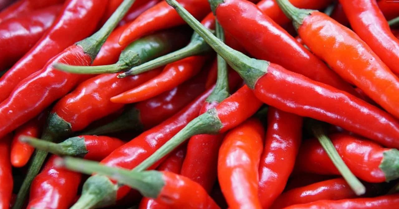 ‘พาณิชย์’ คุมเข้มราคาขายพริก ชี้จงใจขายแพงเกินควร โทษจำคุก 7 ปี ปรับไม่เกิน 1.4 แสนบาท