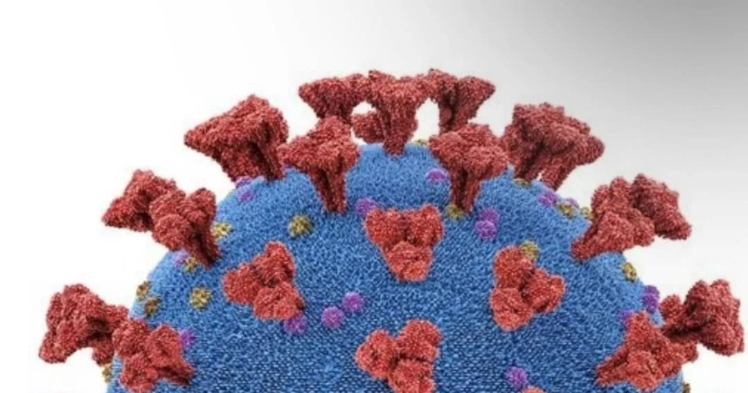 โฆษก ศบค.เผย ผู้เสียชีวิตเพิ่ม 1 ราย และพบเด็กทารกอายุ 2 วันติดเชื้อโควิด 19 จากสมุทสาคร เป็นรายที่อายุน้อยที่สุด