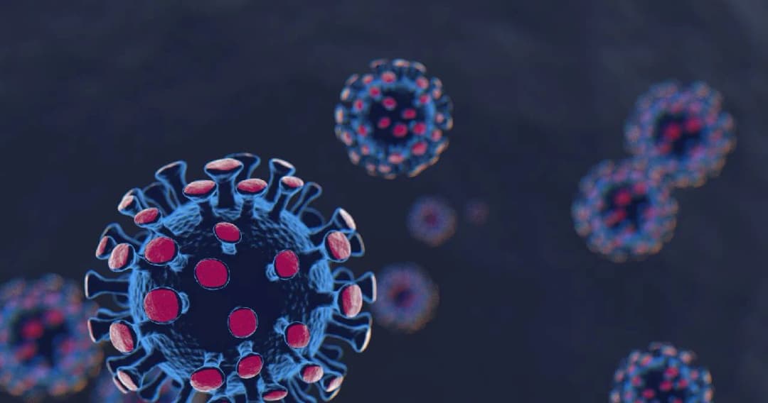 ผู้ว่าฯปทุมธานี สั่งปิดตลาด 2 แห่งในธัญบุรี 5 วัน ห้ามเคลื่อนย้ายแรงงานต่างด้าวออกนอกที่พัก เสี่ยงโควิดระบาดระลอกใหม่