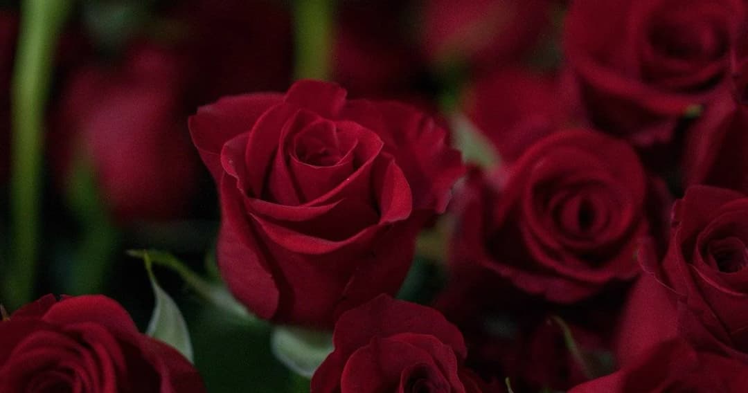 วธ.เผยผลโพลวาเลนไทน์ปี 64 ร้อยละ 70.13 มอบความรักให้พ่อแม่ รองลงมาคือคนรัก