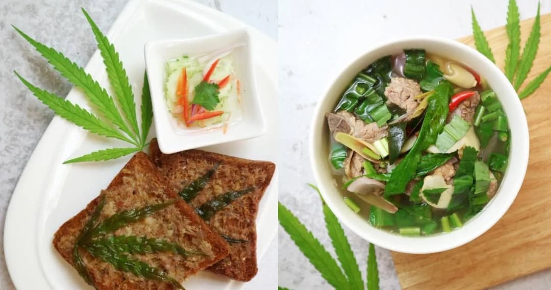 ‘อภัยภูเบศร’ ยันไม่เปิดแฟรนไชส์เมนูกัญชา แจงเหตุปิดครัวกัญชา เตรียมหลักสูตรอบรมให้ ปชช.