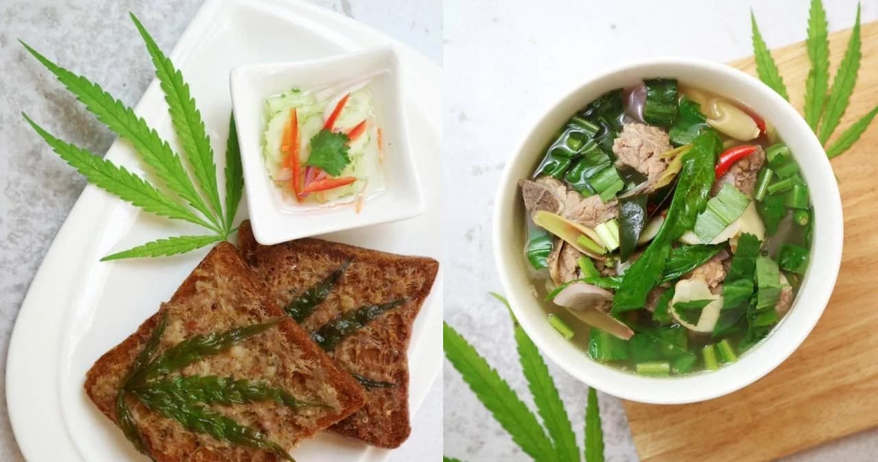 ‘อภัยภูเบศร’ ยันไม่เปิดแฟรนไชส์เมนูกัญชา แจงเหตุปิดครัวกัญชา เตรียมหลักสูตรอบรมให้ ปชช.