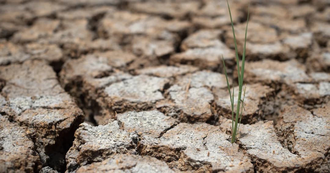 ภัยแล้งจ่อกระทบเศรษฐกิจ น้ำในเขื่อนน้อย ฝนตกไม่มาก ผลกระทบจาก Climate Change
