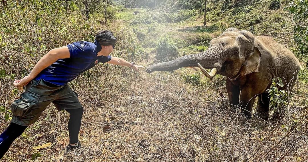 เราจำกันได้ ‘หมอล็อต’ เผยเรื่องราวสุดประทับใจใน ‘วันช้างไทย’ หลังเจอช้างป่าที่เคยรักษาเมื่อ 12 ปีก่อน