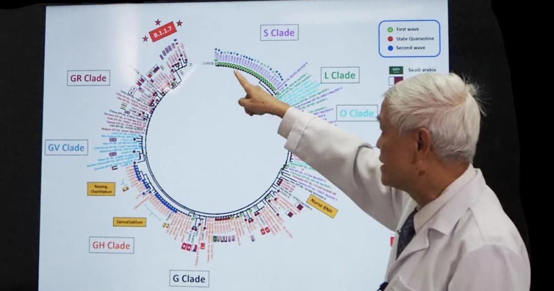 ถอดรหัสพันธุกรรมโควิด-19  ภัยพิบัติที่รุนแรงสุดในรอบ 100 ปี พบ 2 พันธุ์สำคัญต่อวงการแพทย์