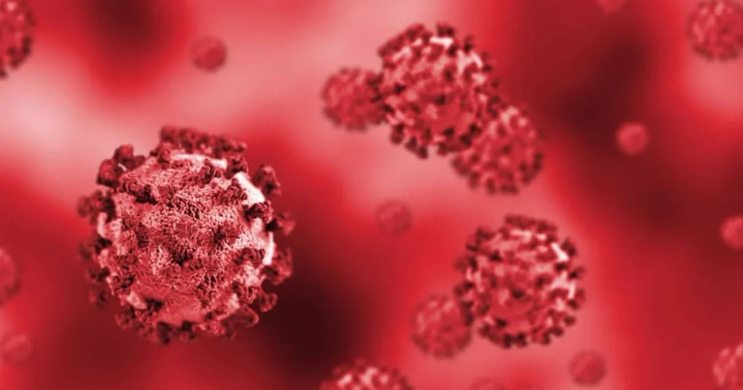 พบคลัสเตอร์ใหม่ ในแคมป์คนงานก่อสร้าง จ.สมุทรปราการ 17 ราย อยู่แออัด-ไปพื้นที่เสี่ยง