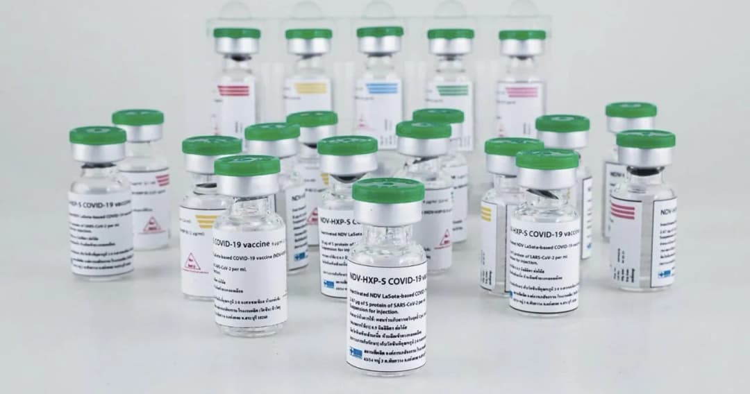 ไทยเริ่มทดลองวัคซีนโควิดในคนแล้ว เป็นซีนโควิด-19 ชนิดเชื้อตาย