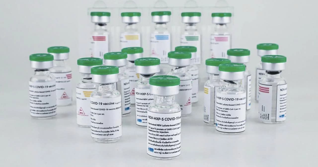 ไทยเริ่มทดลองวัคซีนโควิดในคนแล้ว เป็นซีนโควิด-19 ชนิดเชื้อตาย