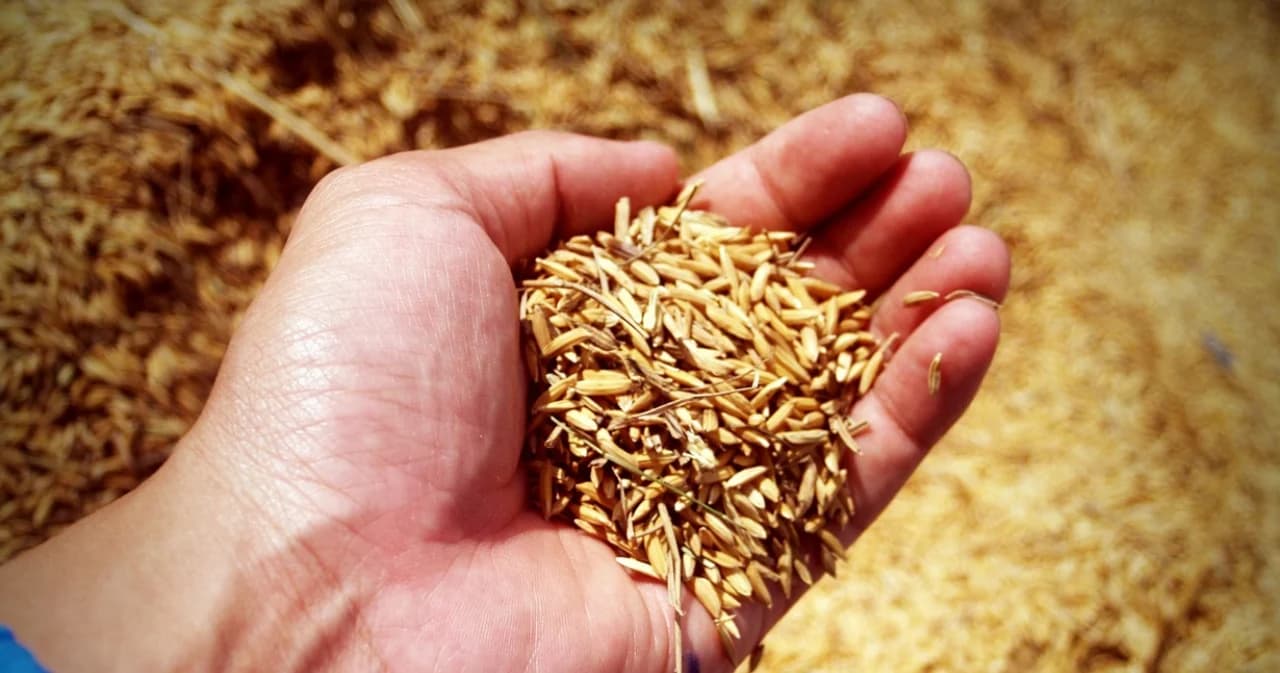 ‘วิษณุ’ชี้ ศาลปกครองกลางเพิกถอนคำสั่งกระทรวงการคลัง ไม่ได้แปลว่าไม่มีความผิด